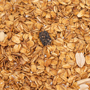 Granola Sencilla